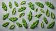 © GMeta - Abstract pattern of fresh basil leaves on gray concrete with water droplets