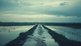 Overcast Farmland Affected by Rising Water Levels