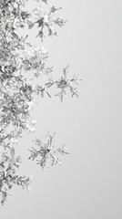 Wall Mural - Winter Snowflakes on Light Gray Blurred Background