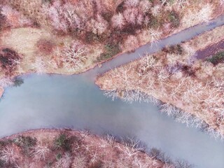 Wall Mural - A river with trees on both sides