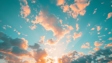 Wall Mural - beautiful summer sunset sky with vibrant orange, pink, and purple hues blending seamlessly over a tr