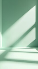 Wall Mural - a spacious open space with a soft mint green background, providing a fresh, modern feel for showcasi
