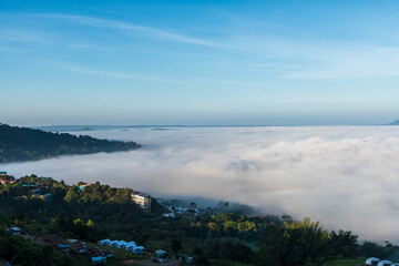 Wall Mural - misty landscape with village. foggy clouds above tree. panoramic mountain in deep countryside at tha