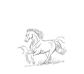 Fototapete - Running black line horse on white background. Vector graphic.