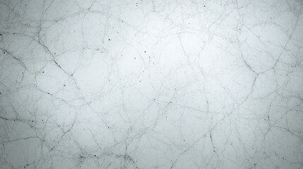Fine spiderweb-like pattern on a pale gray background. intricate designs and artistic concepts