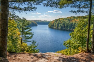 Wall Mural - Scenic Photo of Lake Surrounded by Trees