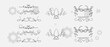 © Creativeactive - Hand drawn design elements collection. Floral frames, corners, dividers, calligraphic lines, borders, swirls. Illustration in vintage style