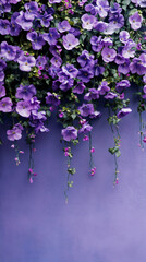 Poster - Beautiful purple flowers cascading over a purple wall, creating a romantic atmosphere perfect for Valentine's Day