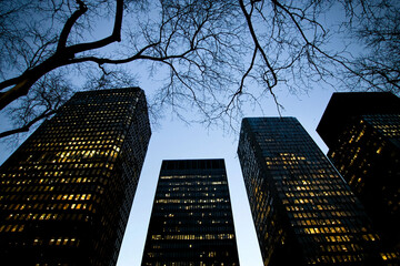 Wall Mural - Silhouettes of skyscrapers against dusk sky