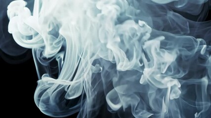 Wall Mural - dramatic white smoke and vapour clouds against dark background