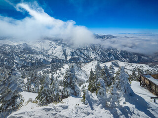 Wall Mural - Snowy mountains and sea of clouds clearing away (Yokoteyama, Nagano, Japan)