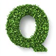 © 海翰 章 - 3D Embossed 'Q' Made of Green Plant Leaves, Isolated on White Background, Representing Eco-friendly Design, Nature-inspired Branding, Sustainable Marketing, and Environmental