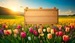 © Monika - Drewniana na tablica pośród tulipanów. Wiosenne tło z miejscem na tekst