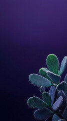 Canvas Print - Close-up of jade plant against deep purple background.