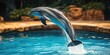 © Ева Поликарпова - A dolphin leaps out of the ocean, showcasing its agility and strength