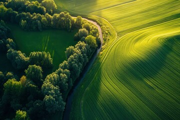 Wall Mural - Beautiful summer landscape with a river, trees, and green fields at sunset from above, an aerial view. 