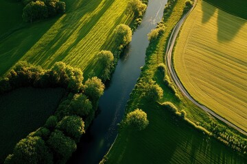 Wall Mural - Beautiful summer landscape with a river, trees, and green fields at sunset from above, an aerial view. 