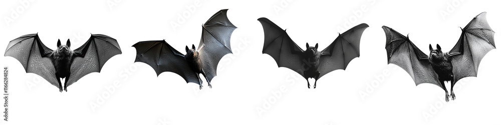 Detailed and Lifelike Illustrations of Several Bats in Flight Against a ...