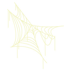 Web Spider