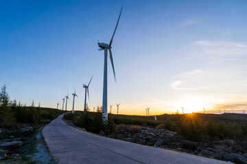 Wind turbines in the evening