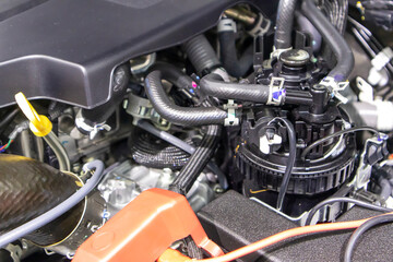 Fototapete - focused on the automotive industry within the contemporary new automobile engine room, machine displays all components and has an open hood. the new car's engine compartment.