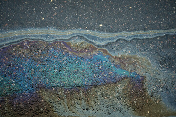 Wall Mural - A colored gasoline slick on a wet asphalt road highlighting the risks associated with pollution.