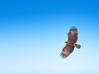 Sticker - Majestic Golden Eagle Soaring High in the Sky