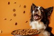 © Babycrab - Happy Border Collie dog with mouth open catching flying kibble from a bowl against orange background.