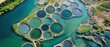 © TPS Studio - Sustainable Seafood Concept. Aerial view of circular aquaculture ponds surrounded by vibrant green landscapes and blue waters.