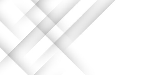 Wall Mural - elegant abstract background with grey lines with shadow. modern abstract gray line light dynamic sha