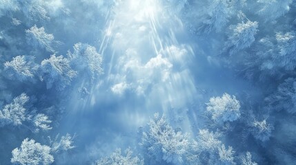 Wall Mural - aerial view of a winter forest with snow-covered trees and sunlight illuminating the scene, showcasi