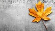 © AIArtistry - Crispy golden maple leaf on grey concrete pavement capturing autumn's beauty and texture in nature's serene setting