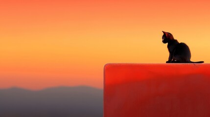 Poster - A black cat sitting on top of a red wall