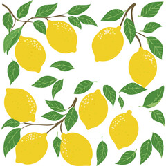 lemons on a branch vector illustration flat. image of a branch with yellow citrus fruits and leaves.