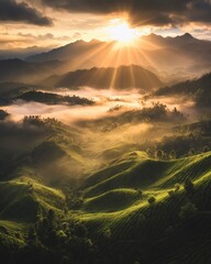 Wall Mural - A stunning sunrise over the misty mountains of the XÃ¡ biome, with vibrant colors and rays piercing through the clouds above the lush green tea plantations. The photo is taken from an elevated perspec