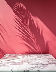 Wall Mural - abstract studio with pink background for product presentation. empty room with window shadows, flowe