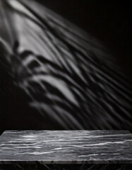 Wall Mural - abstract studio with black background for product presentation. empty room with window shadows, flow