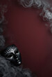 © Marina - Vertical banner, website header featuring a gorgeous carnival mask, postcard with copy space. Mysterious black mask amidst billowing smoke on burgundy background