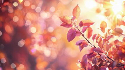 Wall Mural - Red leaves on branch, backlit by sun.