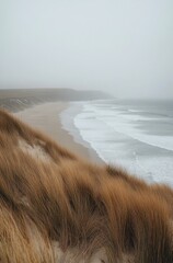 Wall Mural - Coastal view with waves crashing on sandy shore and grassy dunes during gray overcast day