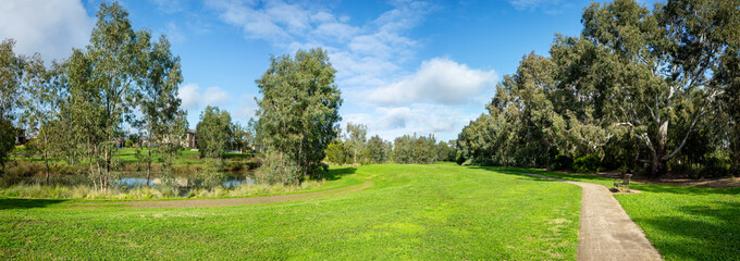 Wall Mural - Panoramic scenic parkland with a winding path led through a grassy lawn, bordered by a line of mature trees and a tranquil pond.Beautiful environment in a suburban park. Tarneit, Melbourne Australia. 