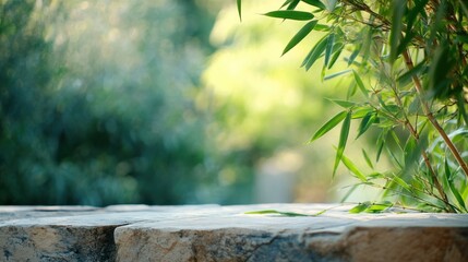 Aufkleber - Stone surface with bamboo leaves and blurred green background.