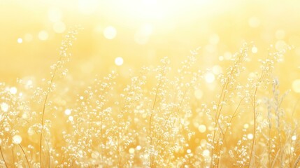 Aufkleber - Golden grass field with bokeh background.