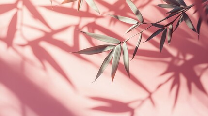 Poster - Elegant gray-green bamboo leaves cast dramatic shadows on a soft pink background, creating a visually appealing contrast and texture.