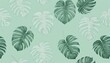 © Siti - Green and White Monstera Leaves Pattern Background