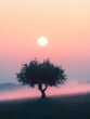 © Thirawat - olive tree in the early morning mist, its dark silhouette contrasting against the soft pink hues of the rising sun