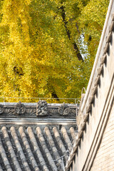 Wall Mural - Beautiful Chinese style  roof at Prince Gong's mansion in Beijing, China