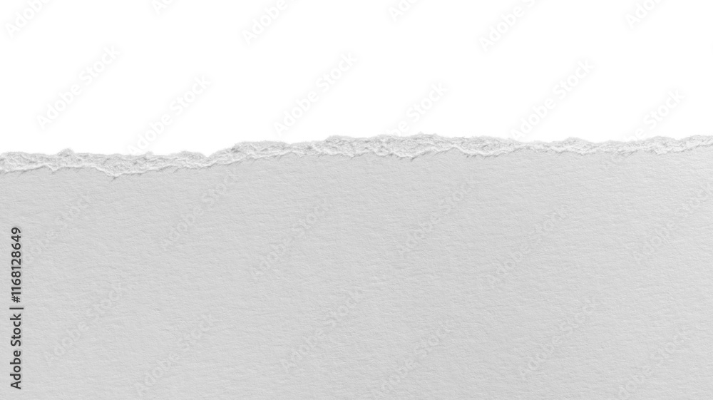 torn blank pages with uneven texture edges. set of ripped white paper ...