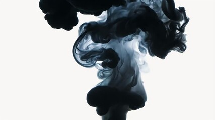 Wall Mural - background black set olated smoke burning form effect mystic detail grey nobody flowing dirty liquid dark smoky pollution cloud fume pollute gas texture colours light swirl smoke black shape motion