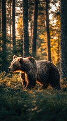 Wall Mural - A bear walking through a sunlit forest, surrounded by trees and greenery.